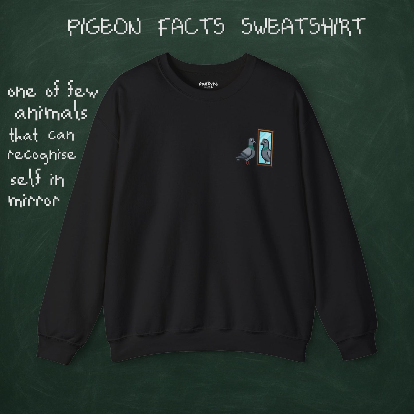 pigeon fact sweatshirt #1: mirrors [left]