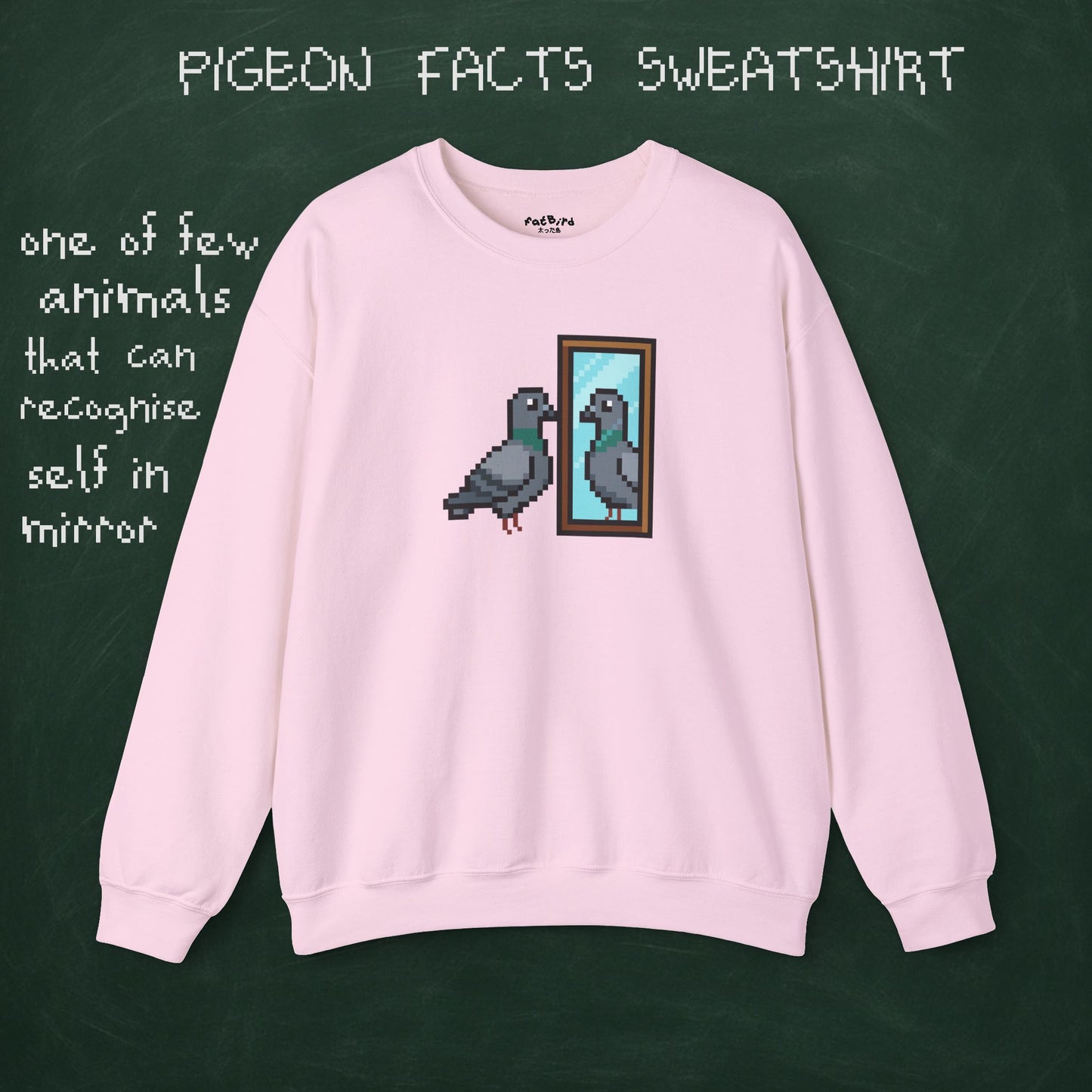 pigeon fact sweatshirt #1: mirrors
