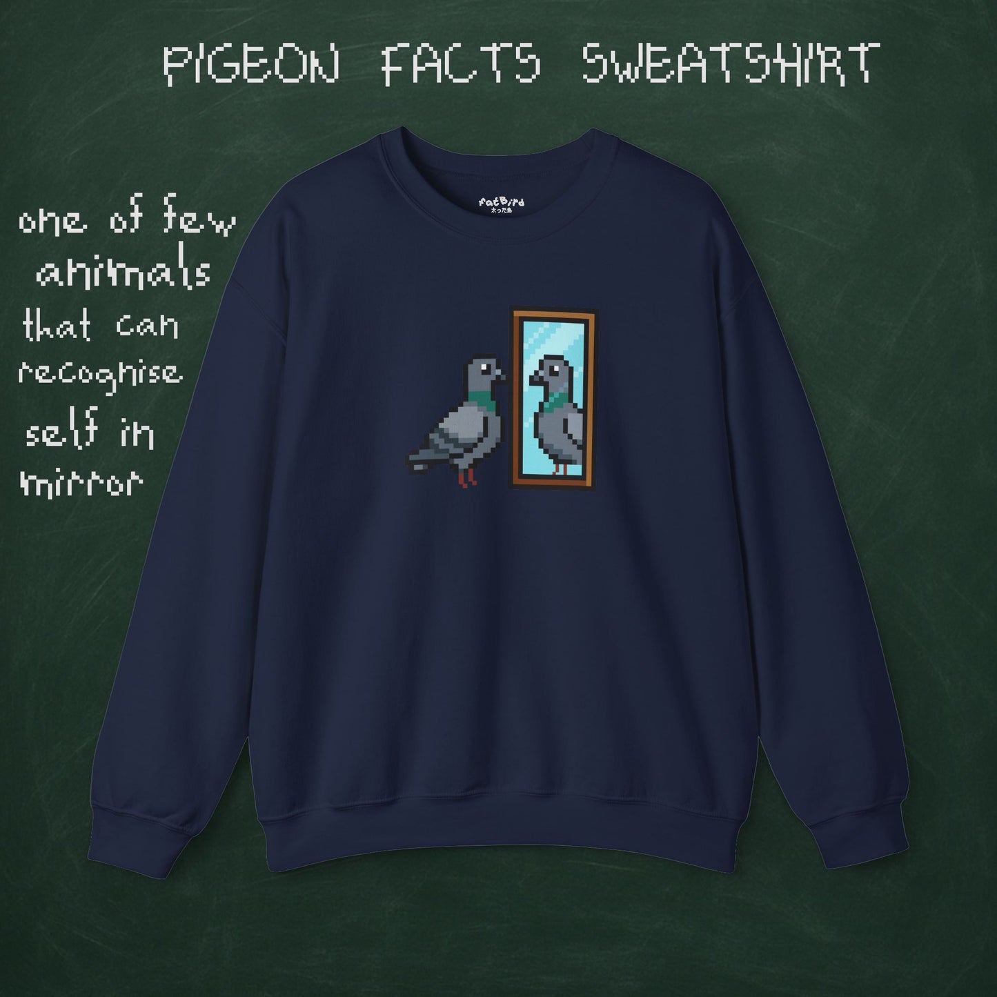 pigeon fact sweatshirt #1: mirrors