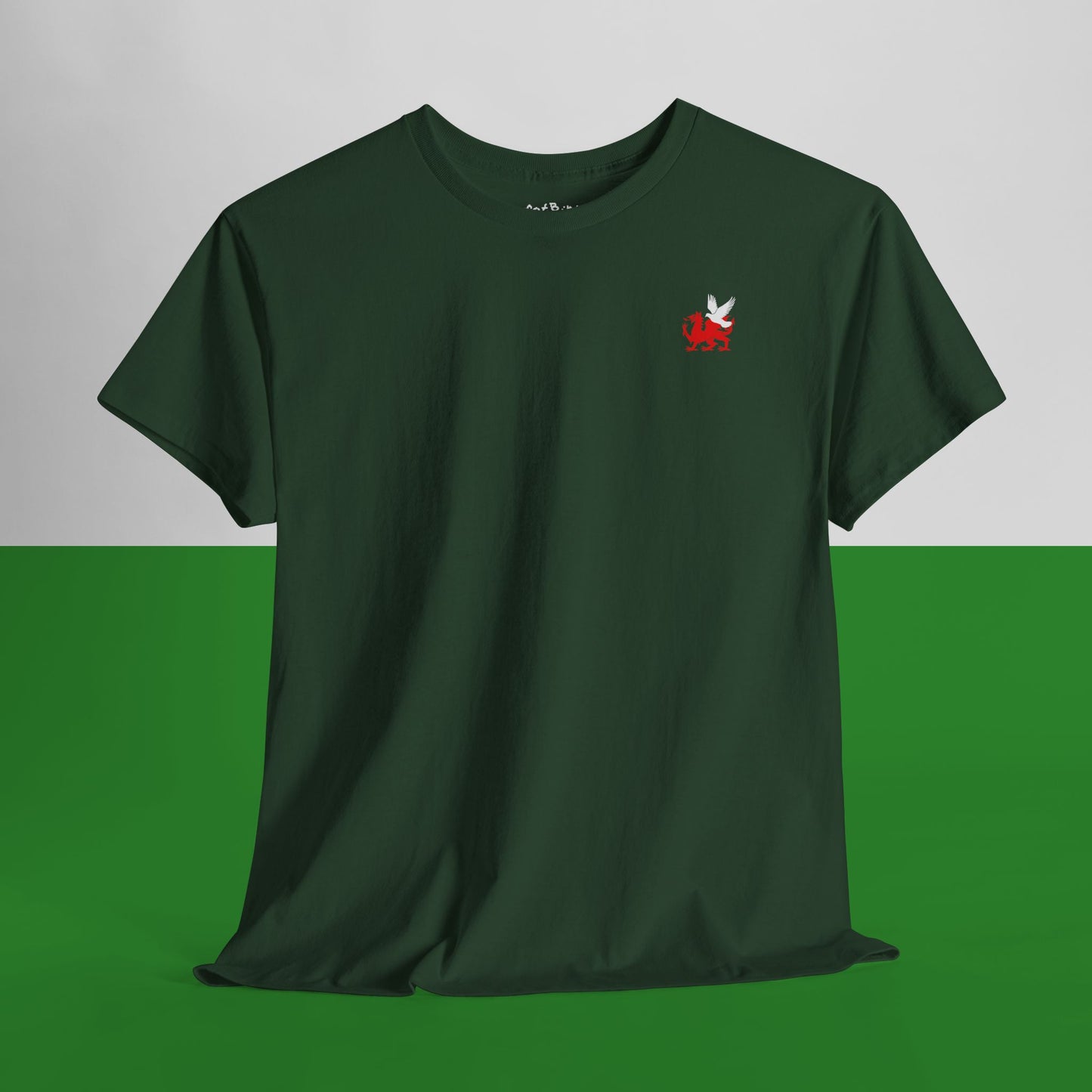 welsh dragon + pigeon emblem tshirt [left]