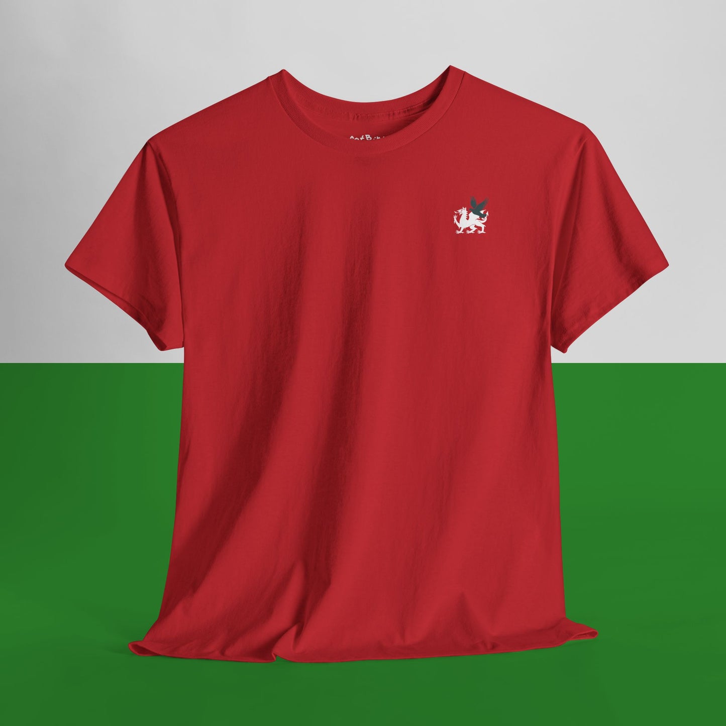 welsh dragon + pigeon emblem tshirt [left]