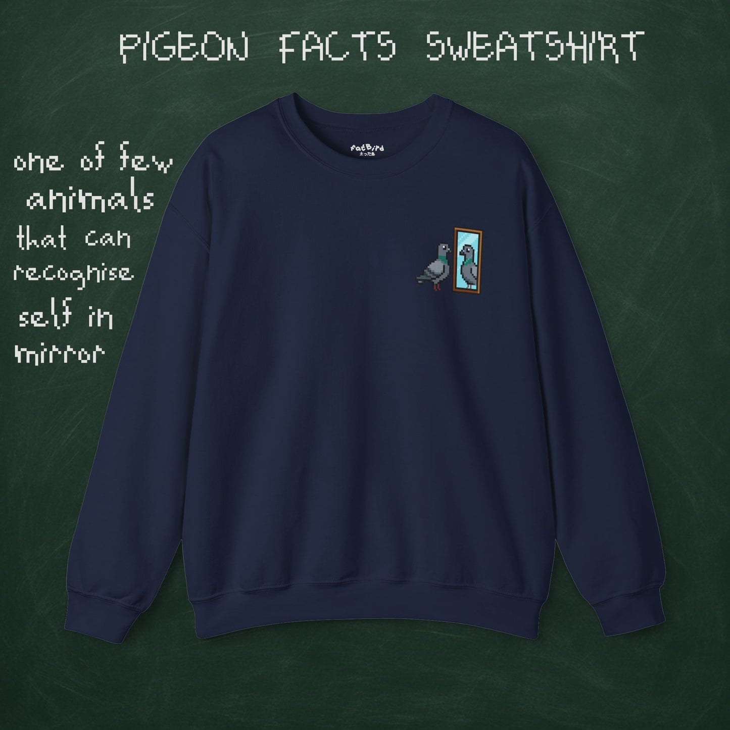 pigeon fact sweatshirt #1: mirrors [left]