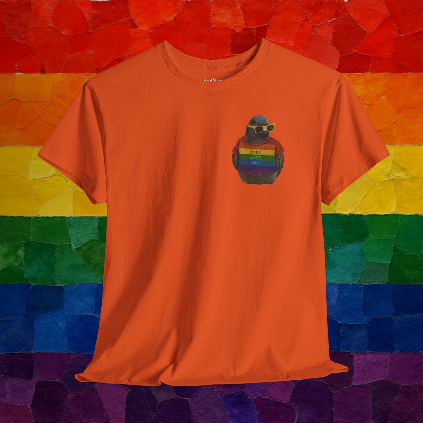 'don't sass me' LGBT pigeon tshirt [left]