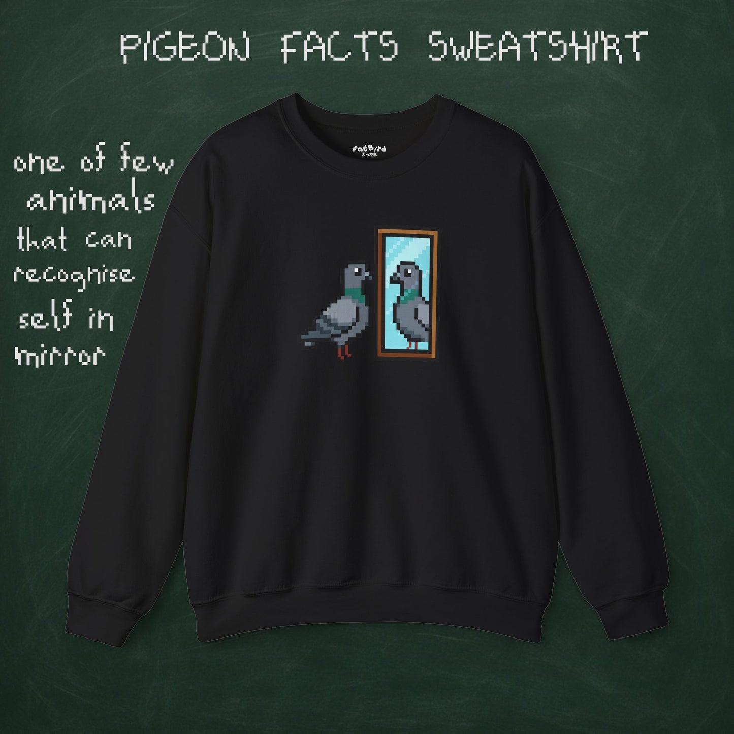 pigeon fact sweatshirt #1: mirrors