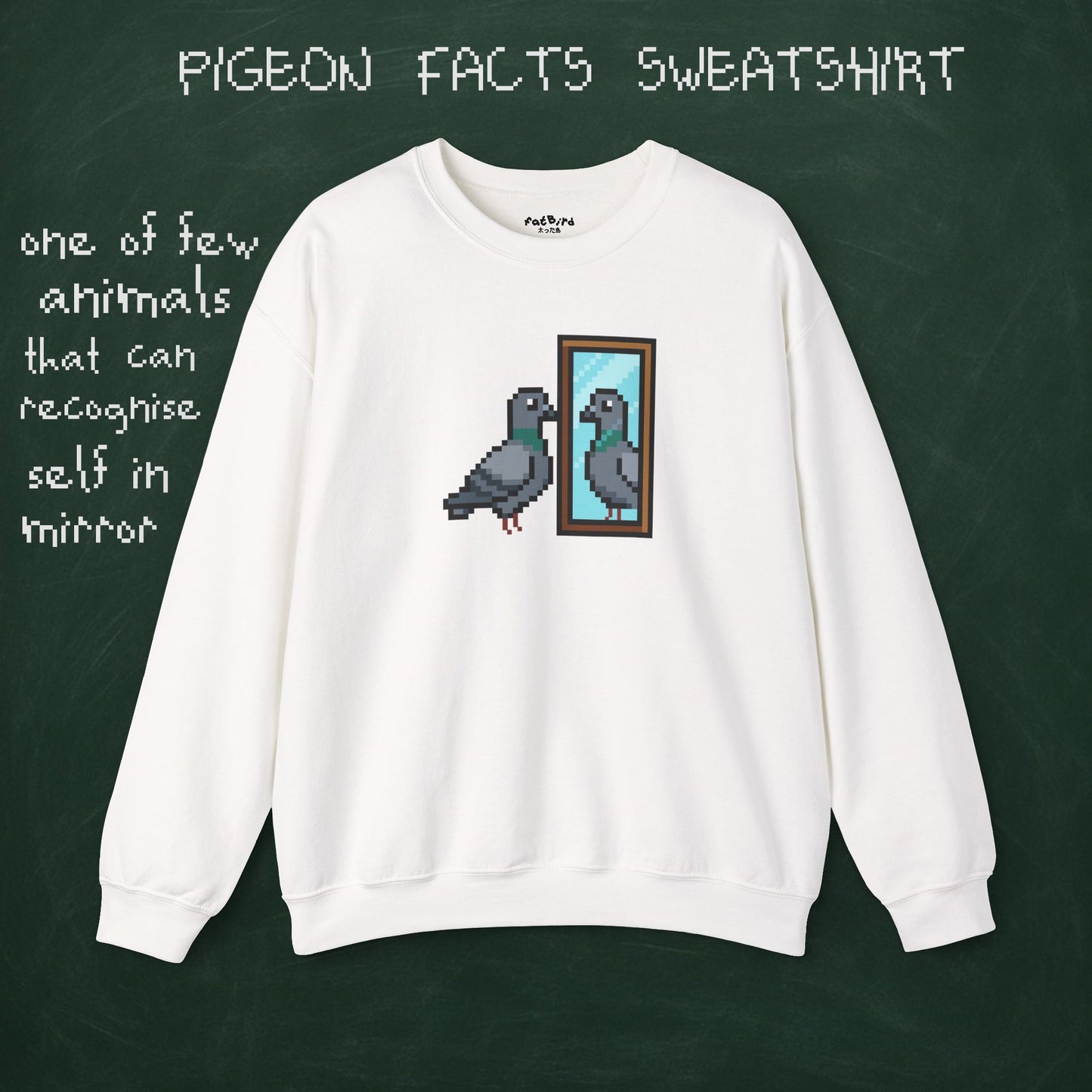 pigeon fact sweatshirt #1: mirrors