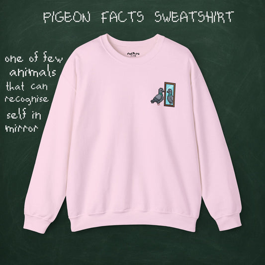 pigeon fact sweatshirt #1: mirrors [left]