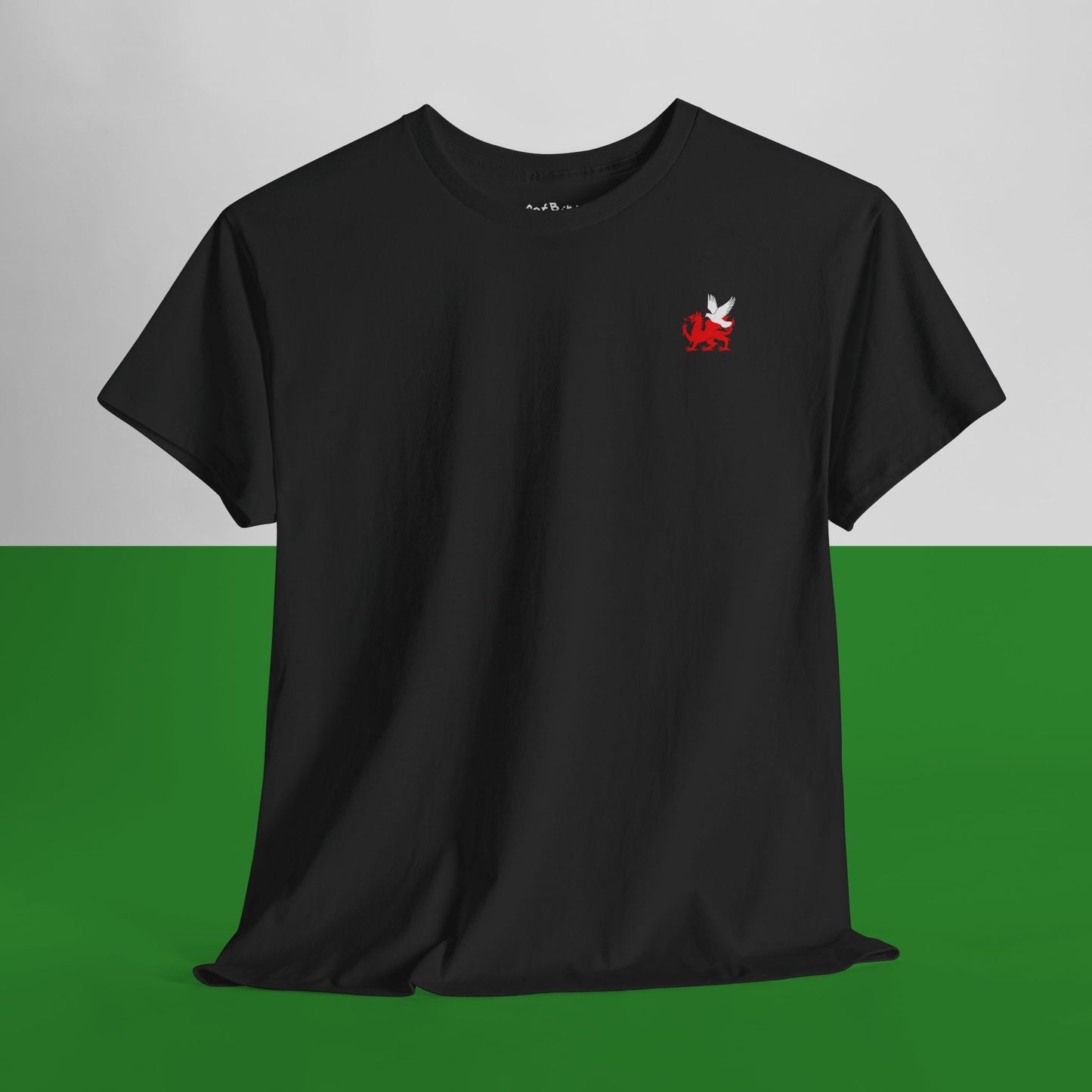 welsh dragon + pigeon emblem tshirt [left]