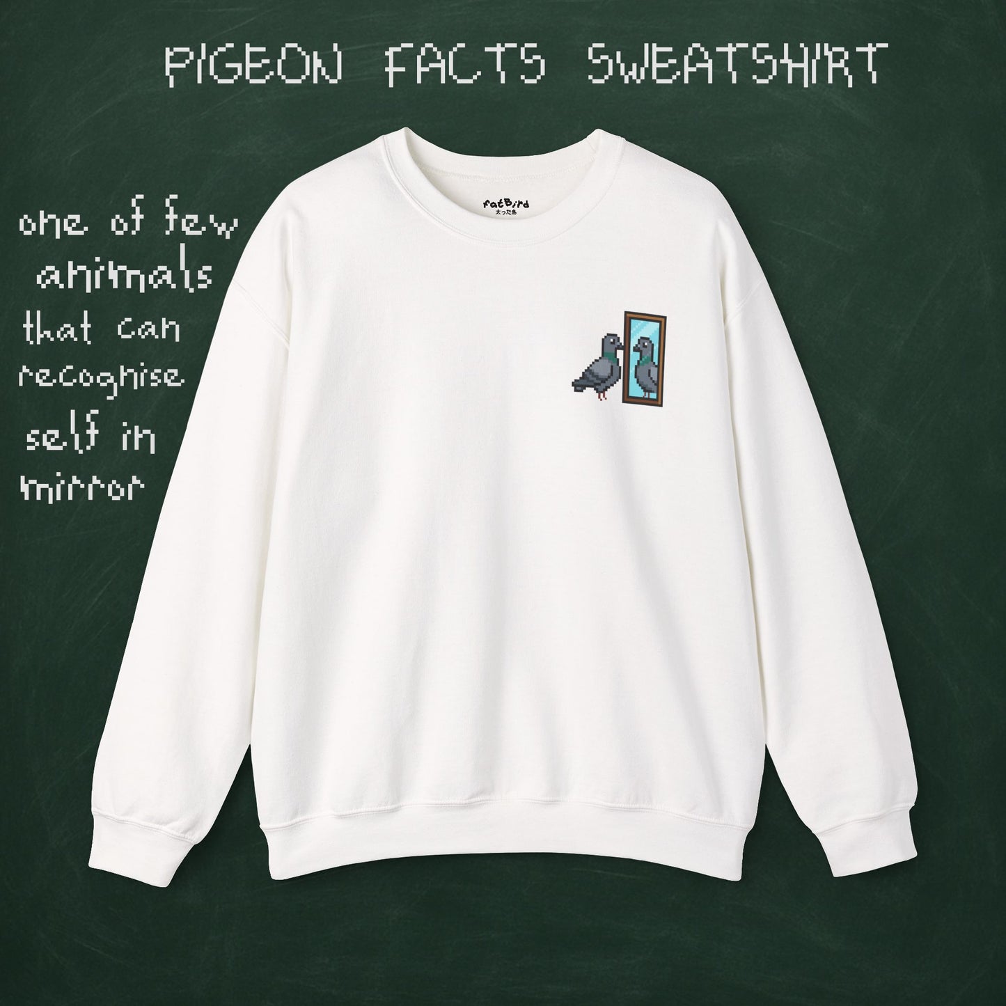 pigeon fact sweatshirt #1: mirrors [left]