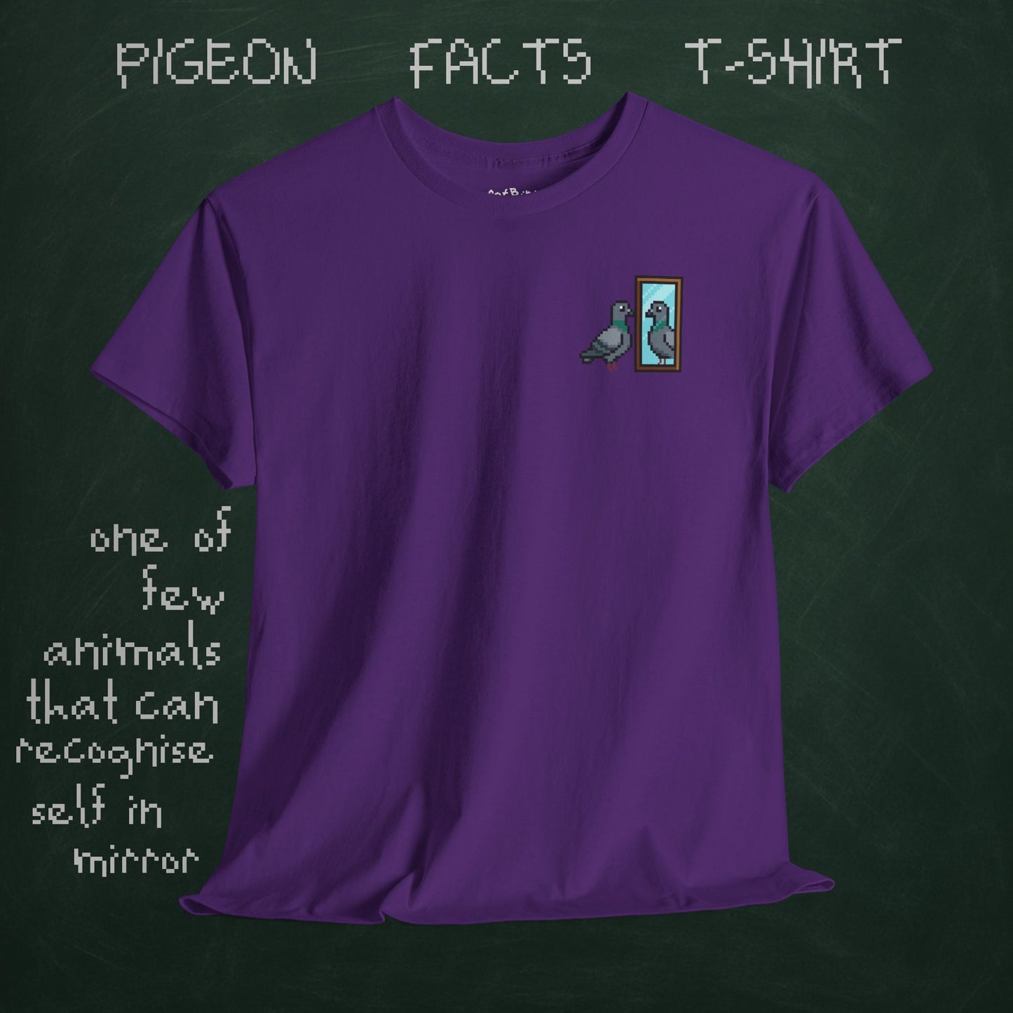 pigeon fact tshirt #1: mirrors [left]