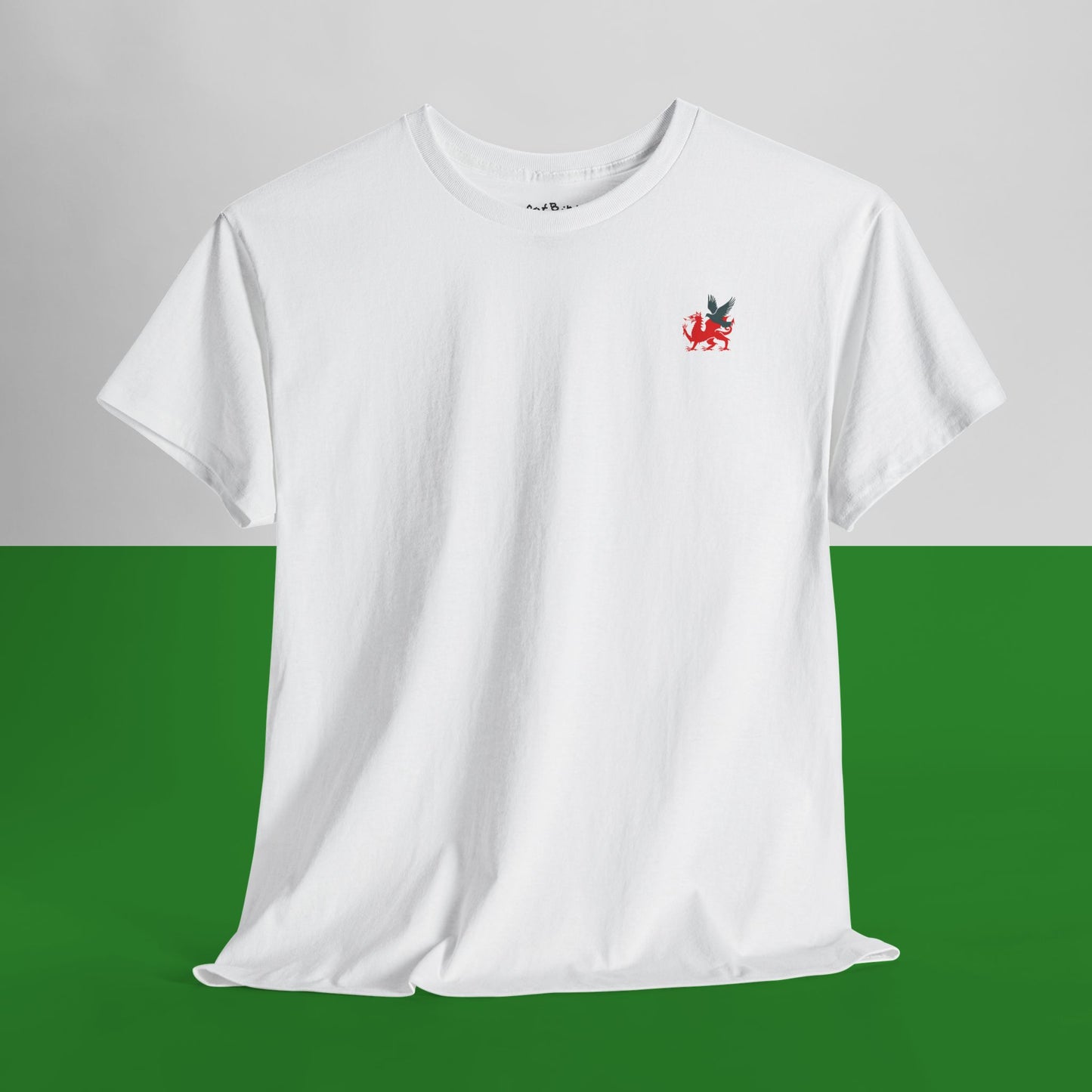 welsh dragon + pigeon emblem tshirt [left]