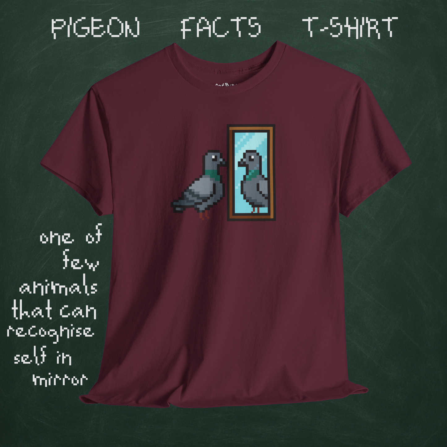 pigeon fact tshirt #1: mirrors