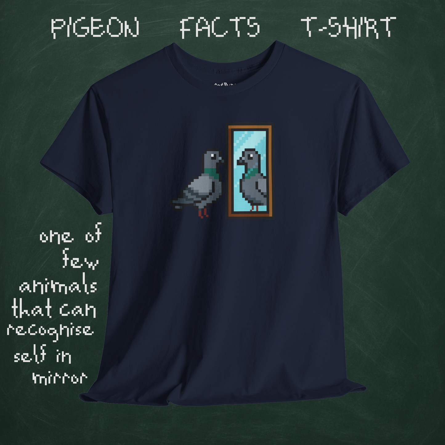 pigeon fact tshirt #1: mirrors