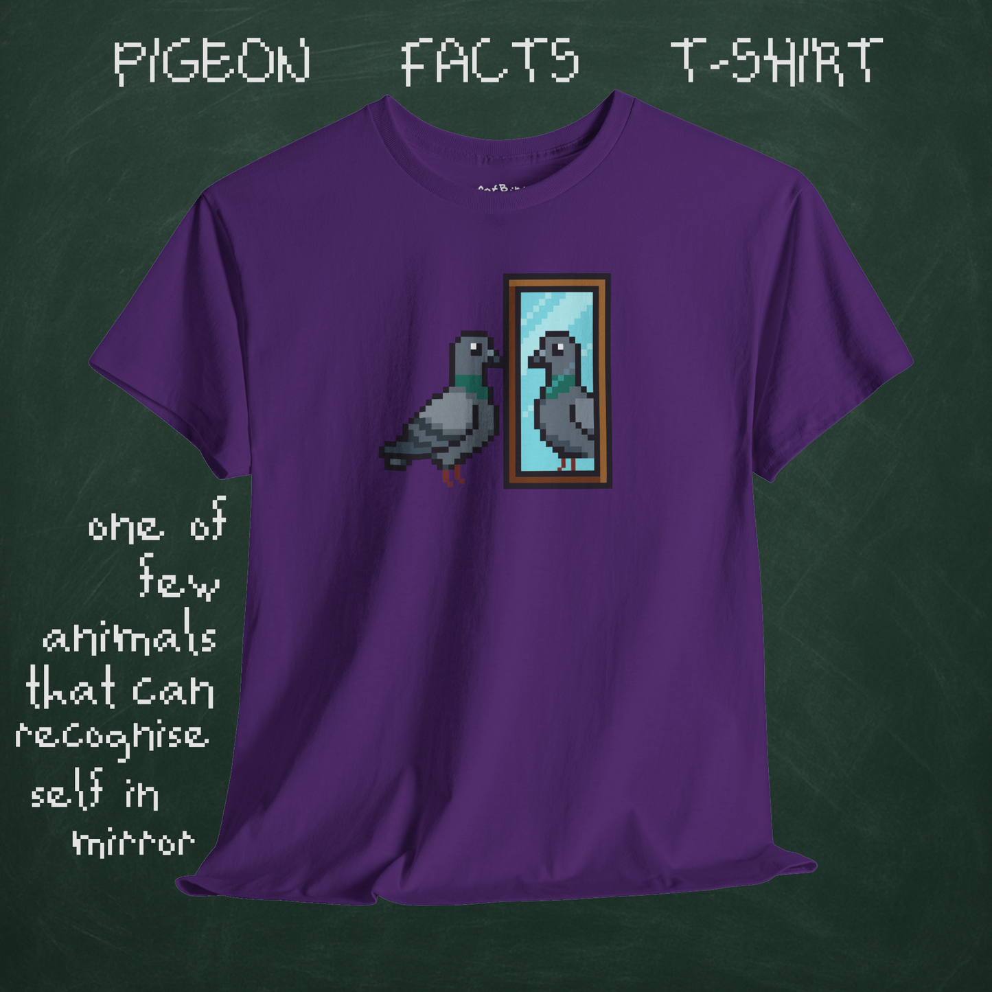 pigeon fact tshirt #1: mirrors