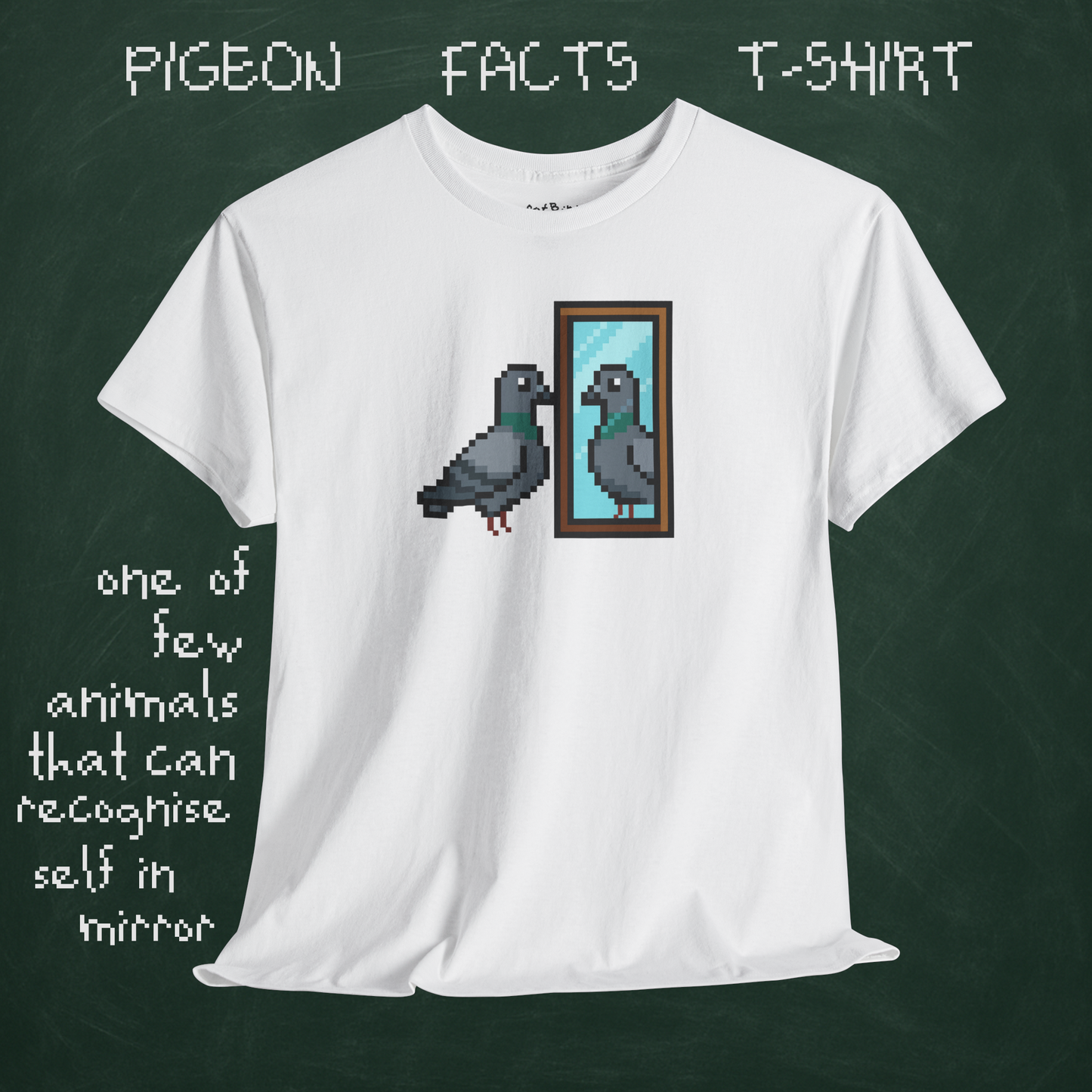 pigeon fact tshirt #1: mirrors