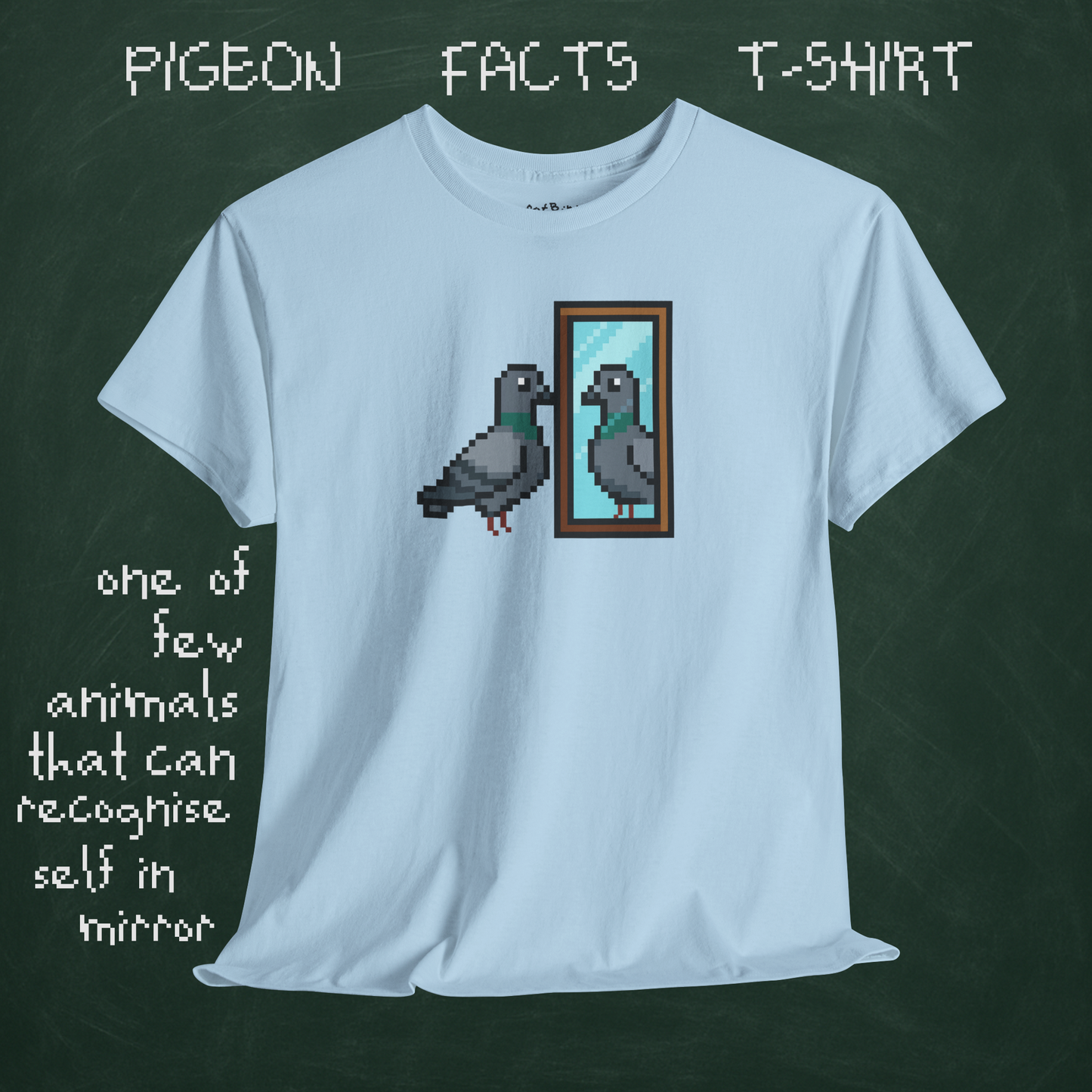 pigeon fact tshirt #1: mirrors